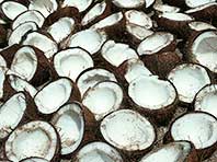 Кардиологи заявляют о чрезвычайной вредности кокосового масла