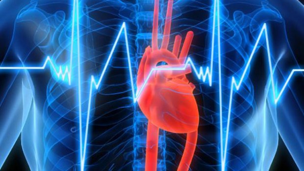 Специалисты смогут регенерировать сердце человека, перенесшего инфаркт