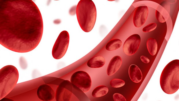 Кровеносные сосуды можно защитить от старения с помощью специальных белков