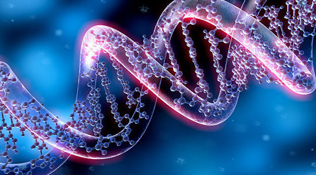 Генная терапия поможет в лечении инфаркта миокарда