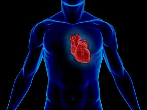 Медики назвали продукты, «убивающие» сердце