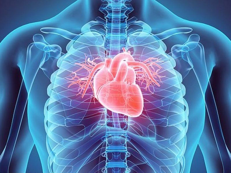 Лекарство от инфаркта частично восстановит больное сердце