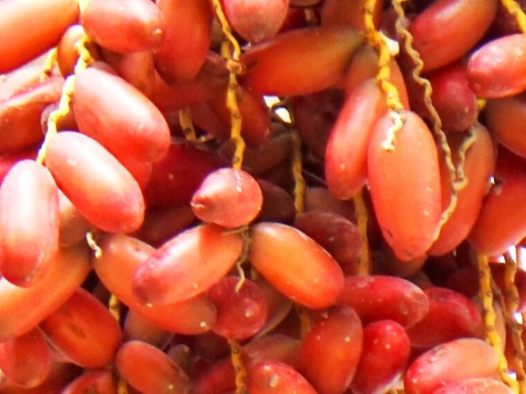 Эта ягода может снизить повышенное артериальное давление