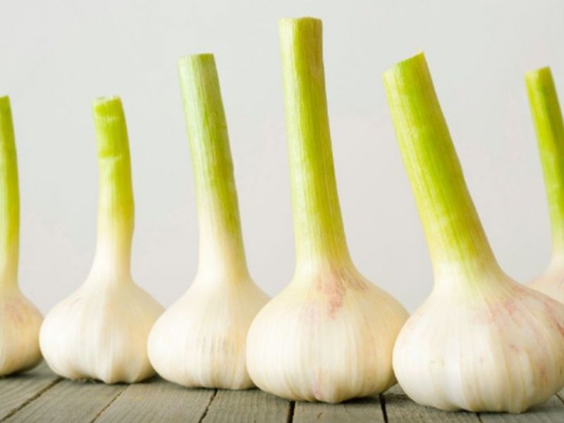 Защищает сердце, печень и не только: 10 причин регулярно есть чеснок