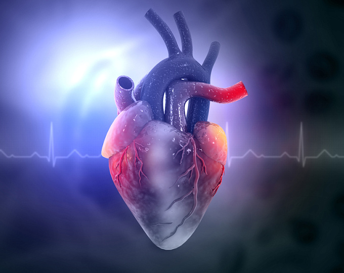 Функция левого предсердия и риск развития сердечной недостаточности