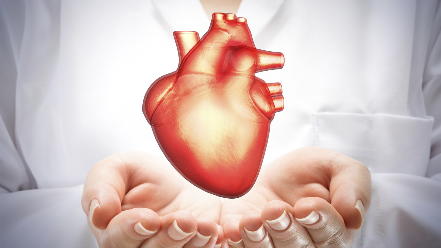 Морфология коронарных артерий при внезапной сердечной смерти (ВСС)