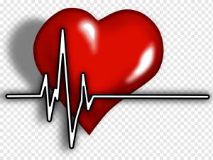 Кривые нормального давления полостей сердца