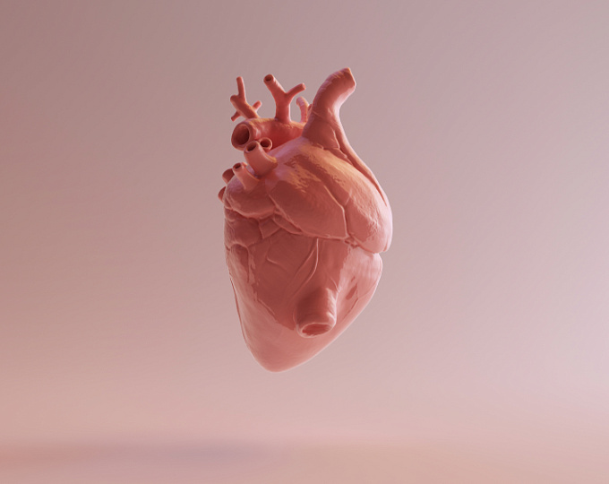 Методика биопсии сердца