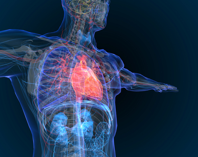ПЭТ (позитронная эмиссионная томография) сердца — методика, возможности