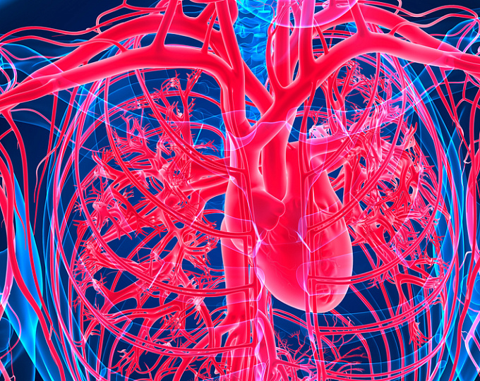Долгосрочные сердечно-сосудистые риски у пациентов, переживших онкологическое заболевание