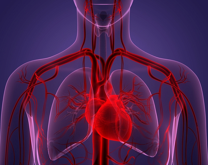 Радионуклидная вентрикулография (РВГ) сердца по первому прохождению — методика, возможности