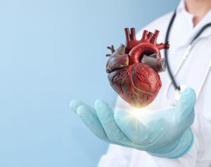 Контрастные вещества для МРТ сердца (сердечного магнитного резонанса, СМР)