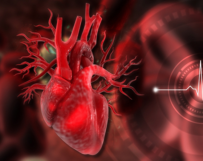Как реваскуляризация хронических окклюзий коронарных артерий влияет на качество жизни?