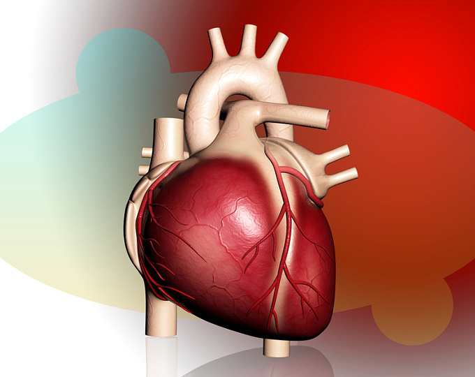 Уровень аполипопротеина С-II и риск смерти от сердечно-сосудистых причин