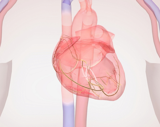 Возможности МРТ сердца во время операции