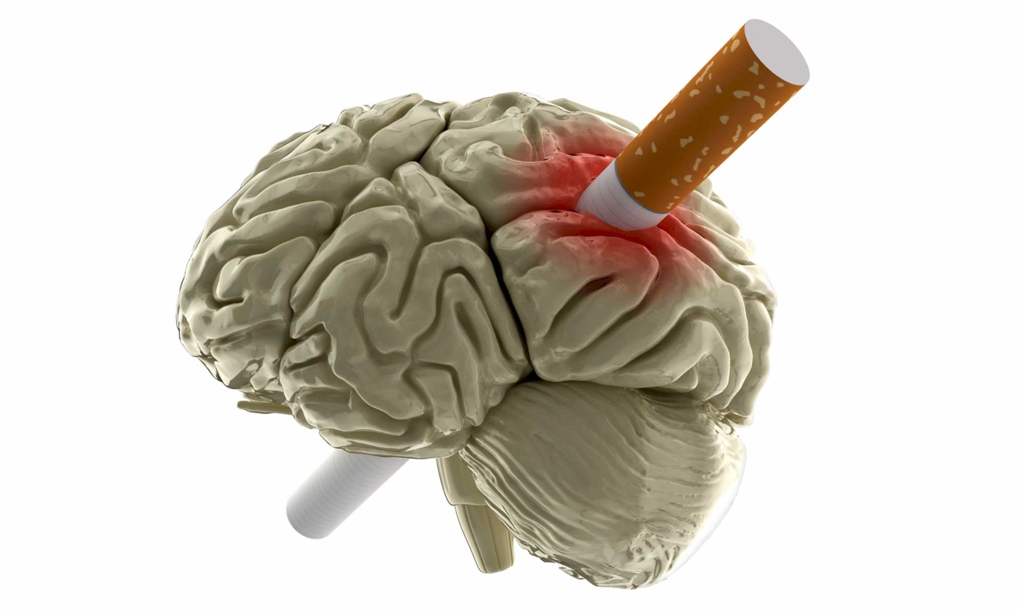 Вред никотина: системное разрушение организма курильщика