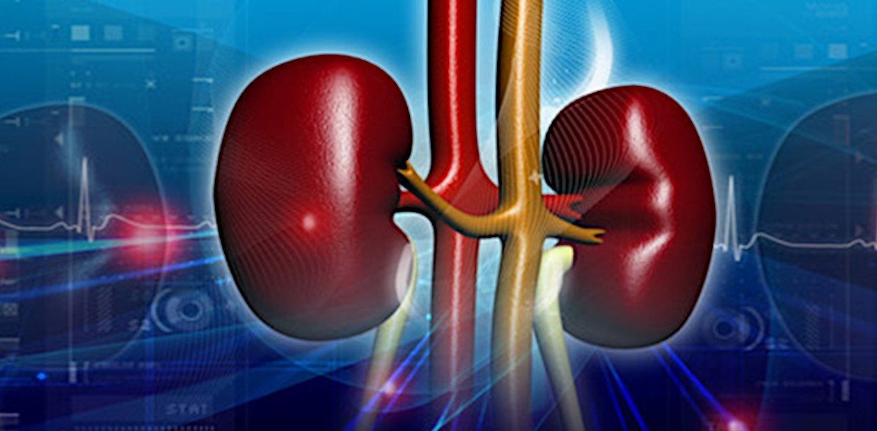 Сочетание препаратов от диабета защитит сердце и почки от болезней