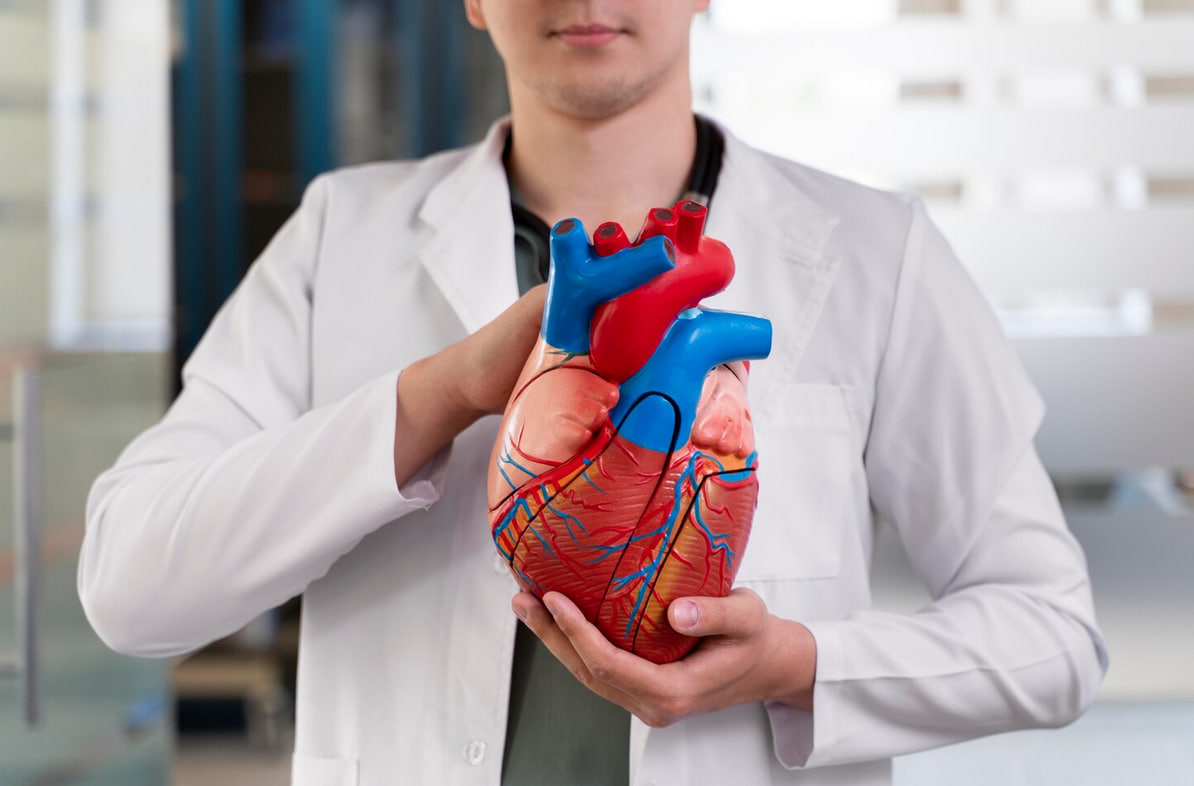 Эксперты назвали 5 продуктов, способных улучшить работу сердца и сосудов