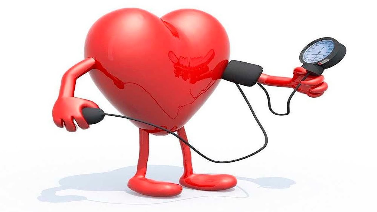 Аритмолог Мария Серова: Усилий врачей недостаточно, чтобы справиться с болезнями сердца