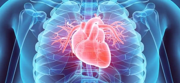 Нарколог рассказал о пагубном влиянии алкоголя на сердечно-сосудистую систему