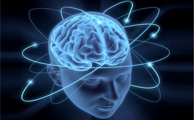 Почему человеку не нужно использовать мозг на все 100%