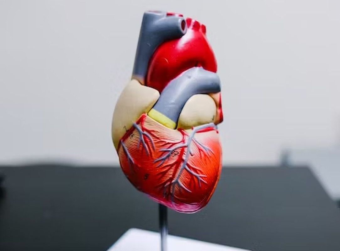 «Отказ от вредных привычек, омега-3»: врач Балдин рассказал о способах оздоровления сердца